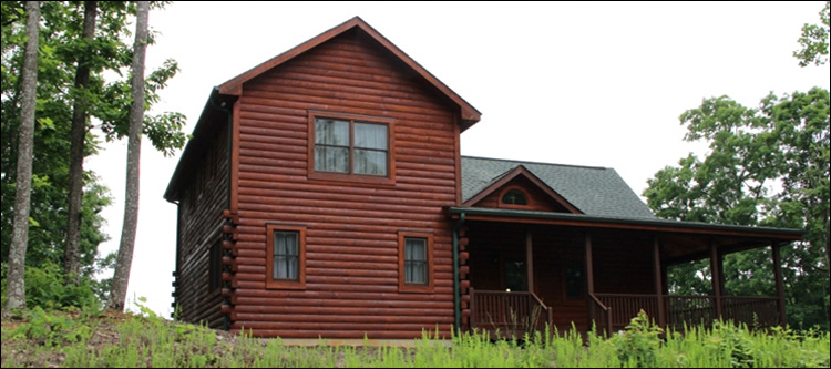 Professional Log Home Borate Application  Bedford County, Virginia